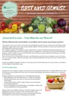 Factsheet: Vom Blatt bis zur Wurzel (nur zum Download)