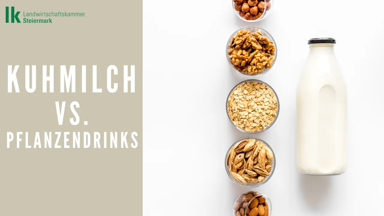 Milch vs. Pflanzendrinks