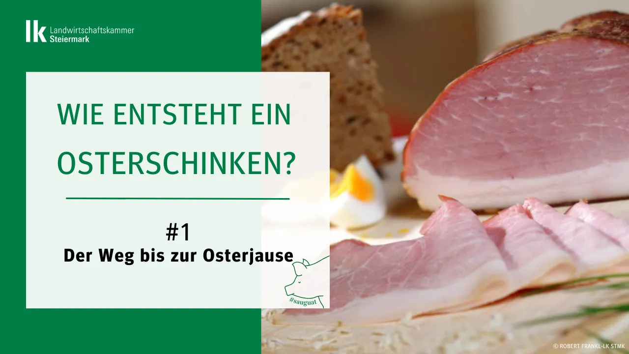 Dem Osterschinken auf der Spur 